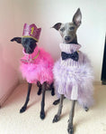 Load image into Gallery viewer, Haute Couture Feathered Luxury Pet Sweater; two dogs wearing pink and lavender fluffy sweaters with feather trim.