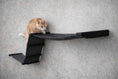 Bild in Galerie-Betrachter laden, The Raceway Wall Mounted Cat Hammock by Catastrophic Creations, black cat ramp.