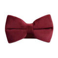 Bild in Galerie-Betrachter laden, Red Wine Velvet Dog Harness Collar Leash Set Elegant Walking Wear by DDPaws