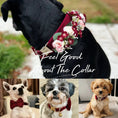 Bild in Galerie-Betrachter laden, Red Wine Velvet Dog Harness Collar Leash Set Elegant Walking Wear by DDPaws