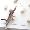 Carica l'immagine nel visualizzatore della galleria, Floating Cat Step for Wall cat scratcher with beige sisal posts and a gray tabby cat reaching upward