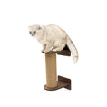 Bild in Galerie-Betrachter laden, Enjoy The Wood Compact Cat Tree Scratching Post Hideaway Dark Walnut by Enjoy The Wood