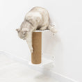 Load image into Gallery viewer, Enjoy The Wood Small Cat Tree White Plywood Frame Soft Felt Platform by Enjoy The Wood