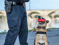 Charger l'image dans la visionneuse de la galerie, USA-K9 Firecracker Floating Training Dummy | K9 Handler Reward Toy | Red | USA Made