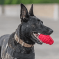 Gallery viewerに画像を読み込む, USA-K9 Grenade Rubber Dog Chew Toy Ultra Durable Heavy Duty Red Blue by SodaPup/True Dogs, LLC