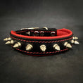 Bild in Galerie-Betrachter laden, "Spiky" collar - Pet Collars & Harnesses from Bestia Dog Gear