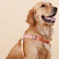 Load image into Gallery viewer, Touchdog ® 'Macaron' 2-in-1 Durable Nylon Dog Harness and Leash by Pet Life