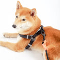 Load image into Gallery viewer, Touchdog ® 'Macaron' 2-in-1 Durable Nylon Dog Harness and Leash by Pet Life