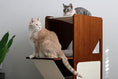 Bild in Galerie-Betrachter laden, The Overlook bamboo cat condo with two cats perched on wooden shelves, highlighting a sturdy bamboo cat tree.