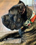Cargar la imagen en la vista de la galería, The Joker Limited Collar - Pet Collars & Harnesses from Bestia Dog Gear