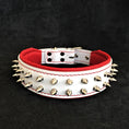 Cargar la imagen en la vista de la galería, White "Frenchie" dog collar - Pet Collars & Harnesses from Bestia Dog Gear