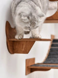 Load image into Gallery viewer, Wall Climbing Steps for Cats by Enjoy The Wood B2B, wooden wall-mounted cat stairs on white wall for indoor use.