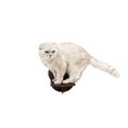 Load image into Gallery viewer, Enjoy The Wood Premium Dark Walnut Wall Mounted Wooden Cat Step by Enjoy The Wood