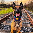 Load image into Gallery viewer, Superdog Collar - Pet Collars & Harnesses from Bestia Dog Gear
