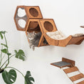 Cargar la imagen en la vista de la galería, OakHaven Premium Solid Wood Wall Mounted Cat Shelf For Active Cats by Enjoy The Wood