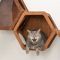 Cargar la imagen en la vista de la galería, OakHaven Premium Solid Wood Wall Mounted Cat Shelf For Active Cats by Enjoy The Wood