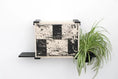 Bild in Galerie-Betrachter laden, Deluxe Cat Cubby Bed by Catastrophic Creations; beige-black checkered cube on a black shelf with a spider plant.