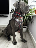 Load image into Gallery viewer, "EROS" BIG dog SET- Harness - collar - lead. Black & Red - Pet Collars & Harnesses from Bestia Dog Gear
