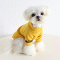 Load image into Gallery viewer, Small Dog two-legged sweater by SOCKPET in mustard yellow with black cuff label
