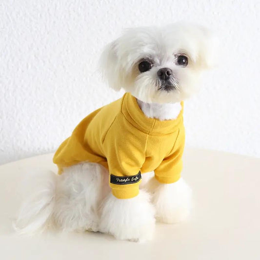 Small Dog two-legged sweater by SOCKPET in mustard yellow with black cuff label