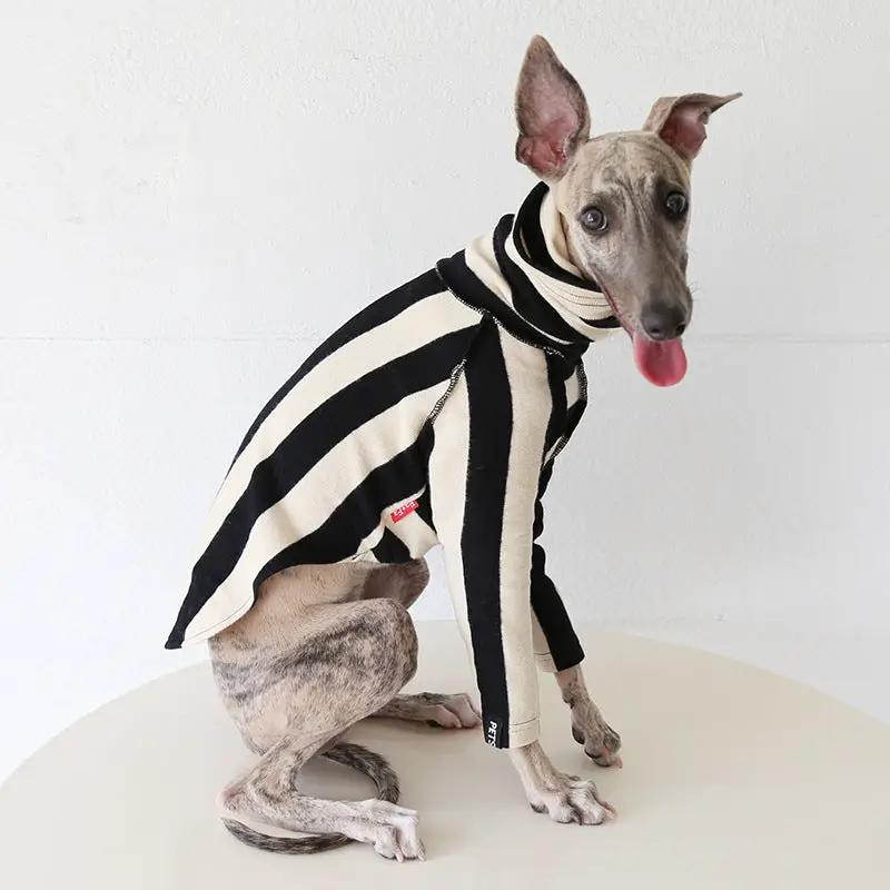 Whippet & Greyhound striped dog shirt by SOCKPET in black and cream