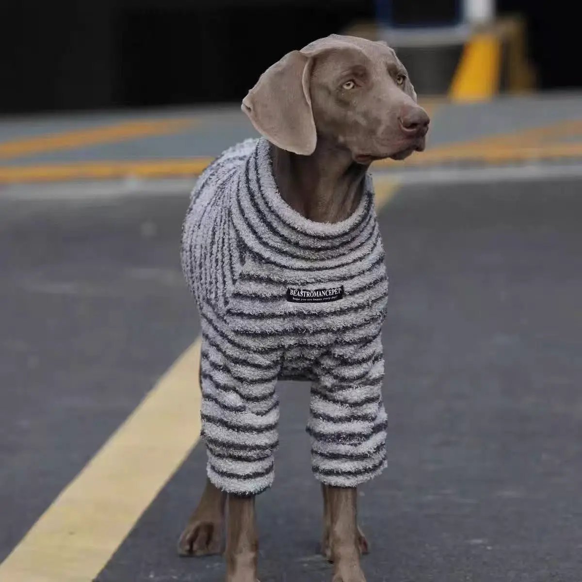 SOCKPET Soft and Warm Stripe Dog Sweater in gray and white knit for pets