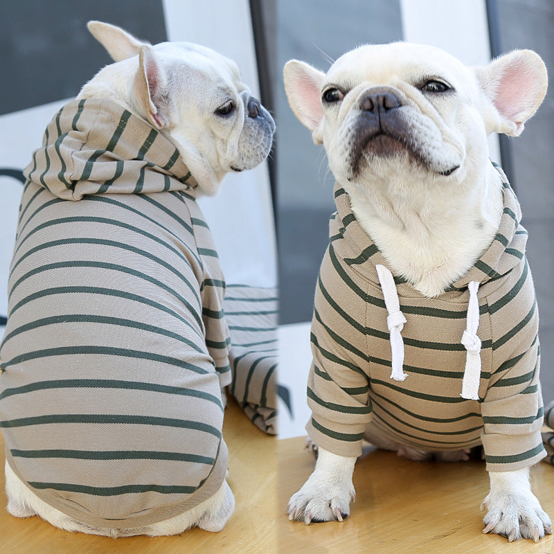 Dogs wearing khaki-and-green striped hoodies
