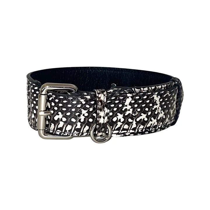 Black and White Classic Snake Collar by Allysa Payne Beverly Hills with silver buckle