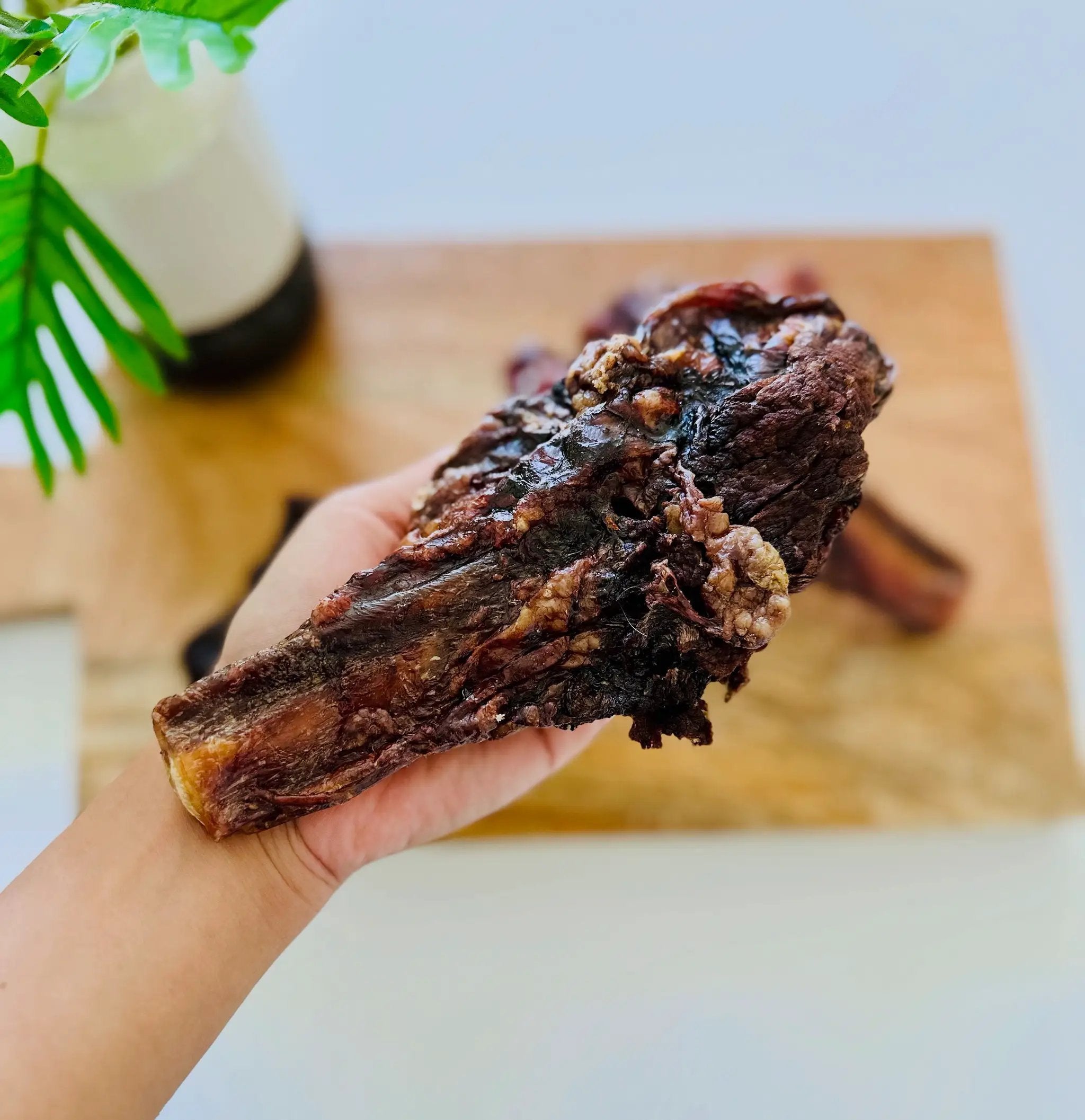 Beef Pizzle (short) by Naked Beasts, dark dried beef texture held in hand