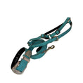 Load image into Gallery viewer, Collar, leash & harness set in turquoise croc leather with Swarovski crystal hardware by Allysa Payne Beverly Hills

