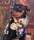 Carica l'immagine nel visualizzatore della galleria, Mini American Dog Crossbones Shield Morale Patch Woven Hook Fastener Backing Fits Tactical Vest Harness and Collection by kiloninerpets
