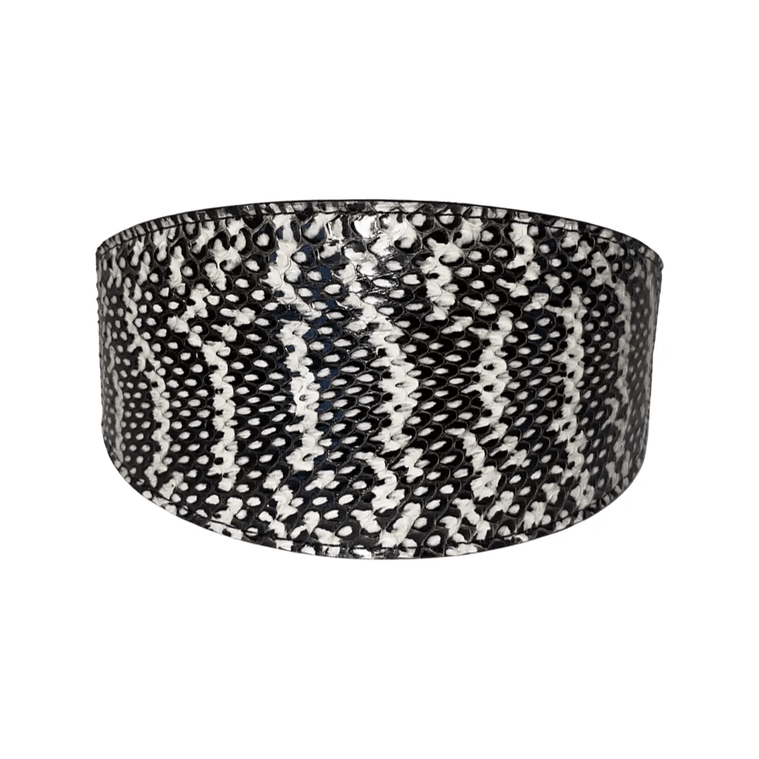 Elegant Snake Collar 3 In Silver Hardware Black White by Allysa Payne Beverly Hills