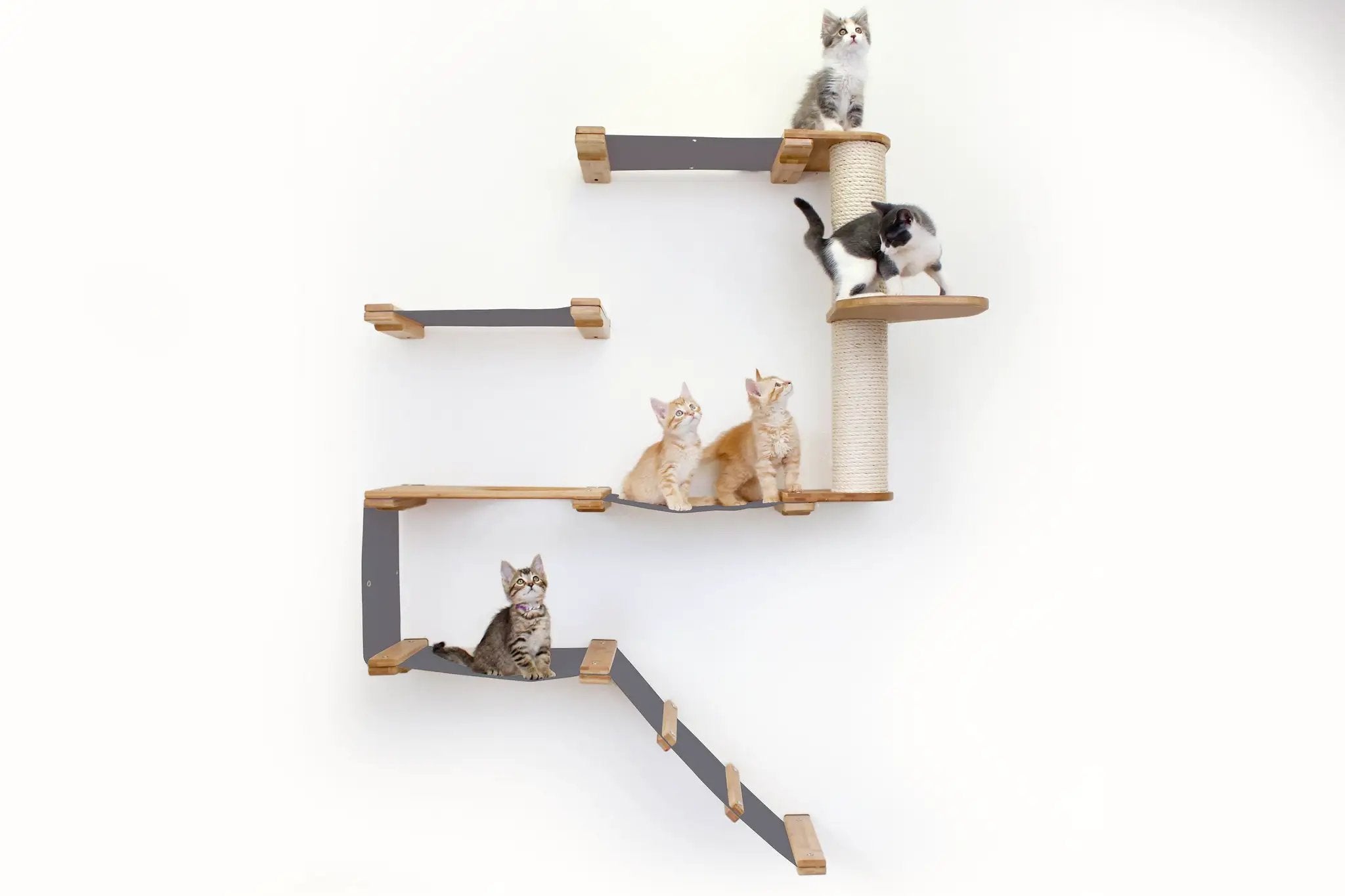 The Deluxe Cat Fort - Modern Cat Condo, gray platforms with wood trim and sisal post, several kittens.