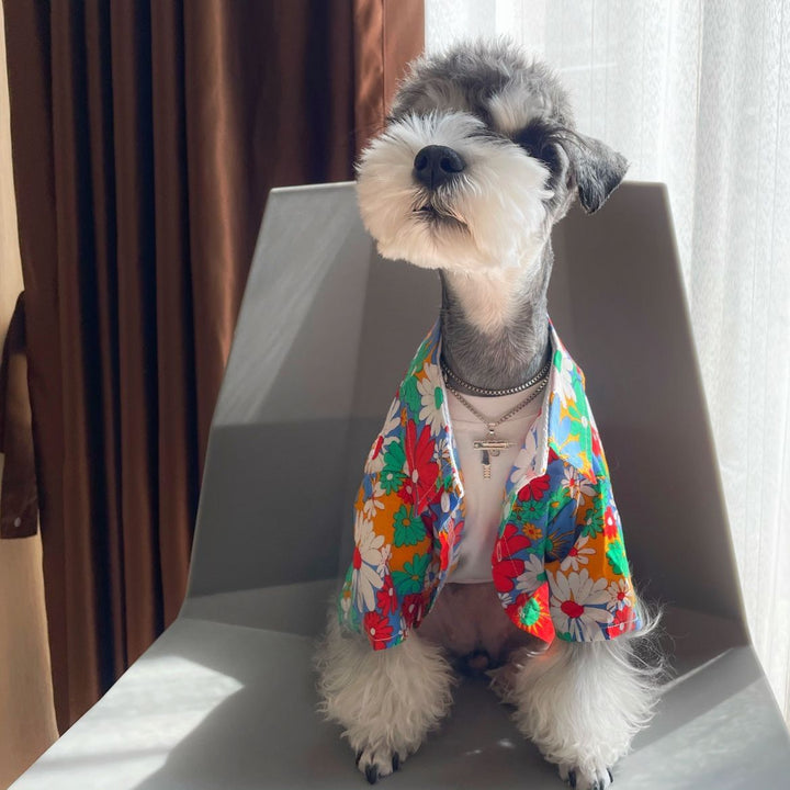 Dog wearing open daisy-print shirt with styling accessories