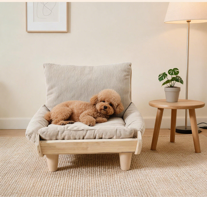 Small dog on cushioned pet chair