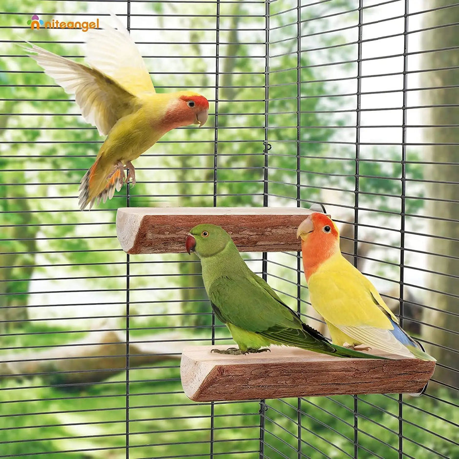 Premium Natural Wood Bird Perch for Comfortable Foot Exercise 2 Packs by MJ's Pet Closet
