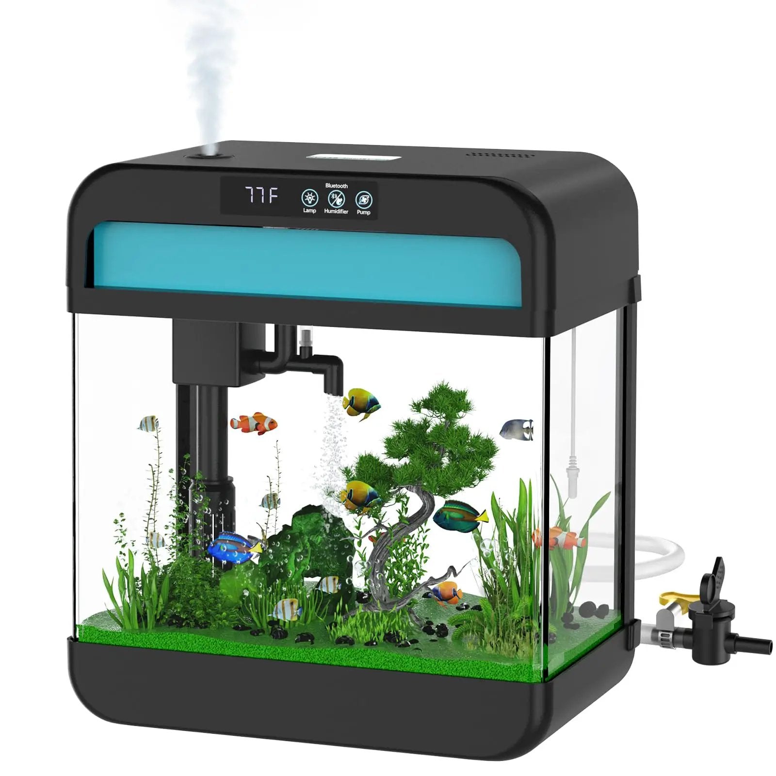 Aquarium Tank Fish Tank Kit with 2.2 Gallon Aquarium Lid and 7 Color-ful Led Lamp Starter Kit Glass Tank for Bookcase - from For Animals, With Love