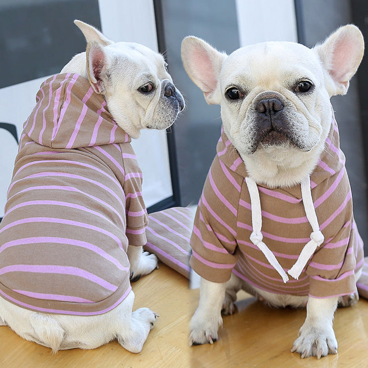 Dogs wearing brown-and-purple striped hoodies
