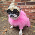Load image into Gallery viewer, Haute Couture Feathered Luxury Pet Sweater, pink fluffy dog apparel; dog wears black round sunglasses
