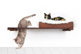Load image into Gallery viewer, The Cat Nest Bed on a wooden Catastrophic Creations cat shelf; white fluffy nest, two cats.
