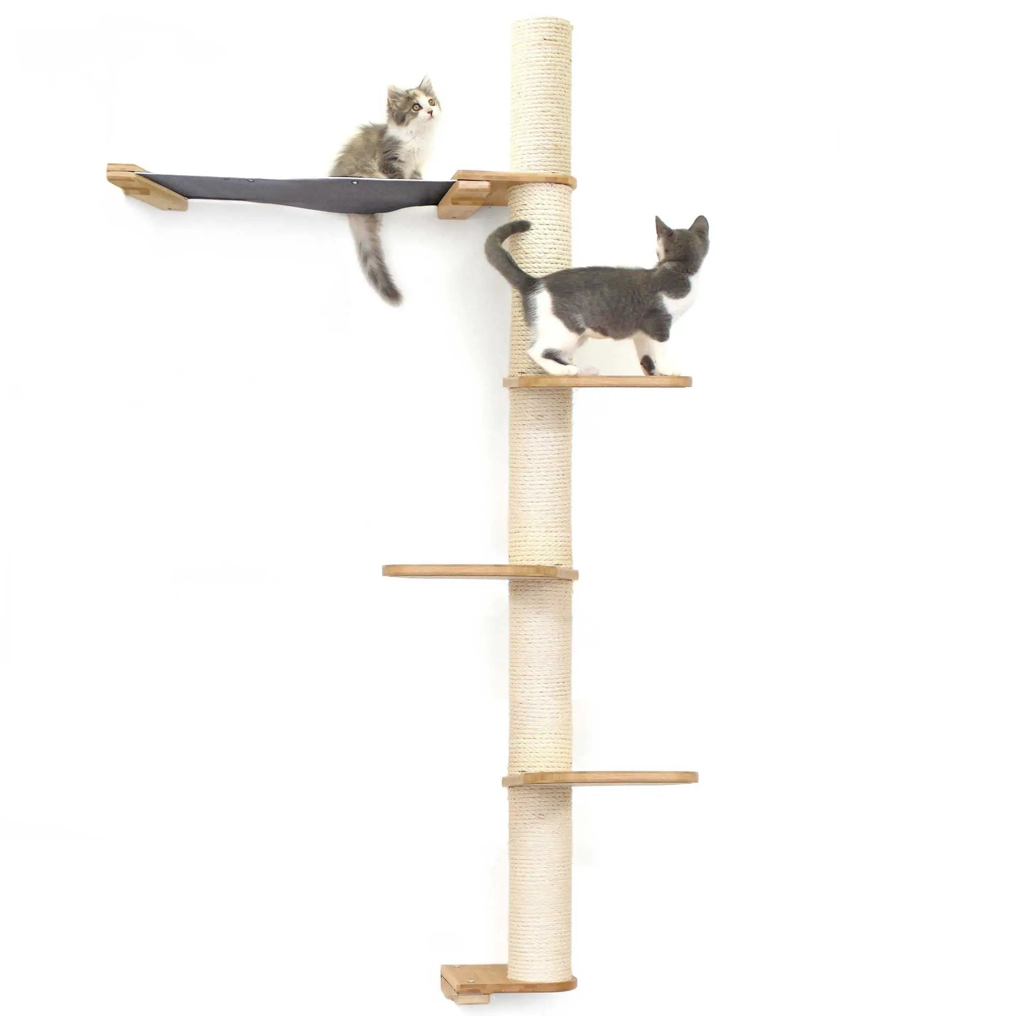 The Crow's Nest wall cat condo by Catastrophic Creations with hammock, sisal rope post and wooden platforms