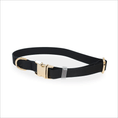 Charger l'image dans la visionneuse de la galerie, Waterproof Dog Collar | Black
