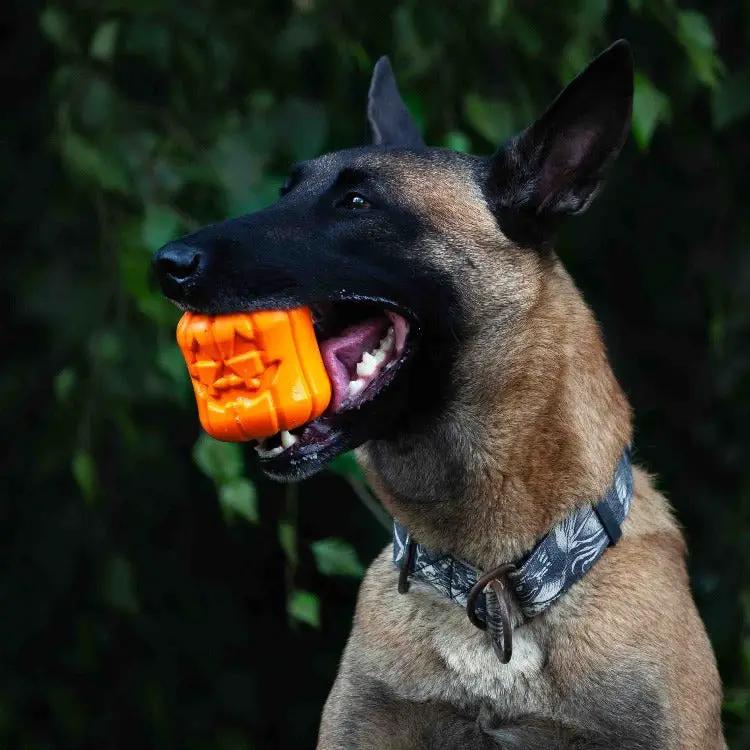 SodaPup Jack O’ Lantern Rubber Dog Treat Dispenser (Large)