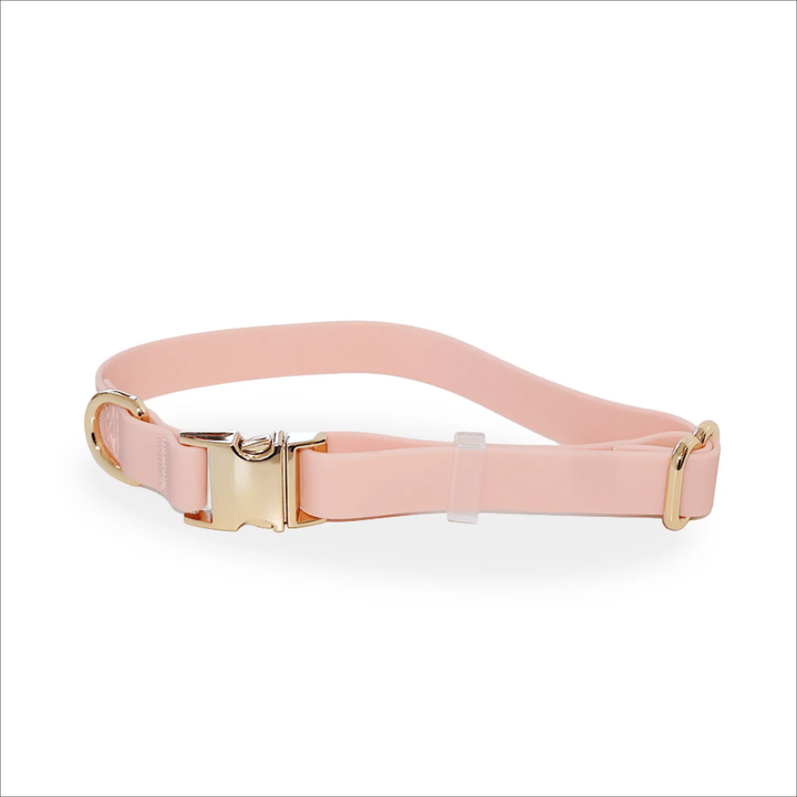 Waterproof Dog Collar | Pink