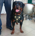 Load image into Gallery viewer, The "Maximus" harness black & gold - Pet Collars & Harnesses from Bestia Dog Gear

