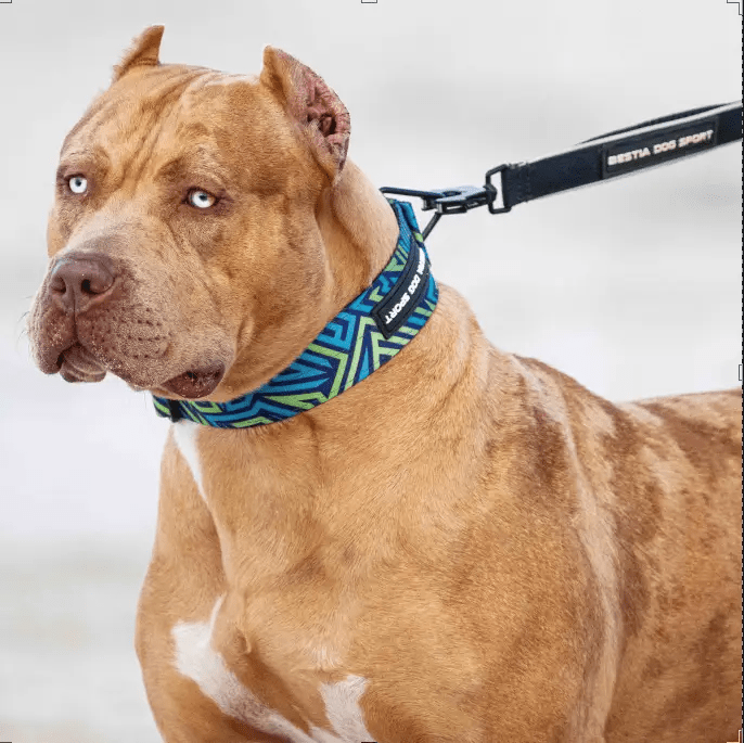 Bestia Dog Sport GripPro Print Collar Blue Green Heavy Duty Nylon by Bestia Dog Sport