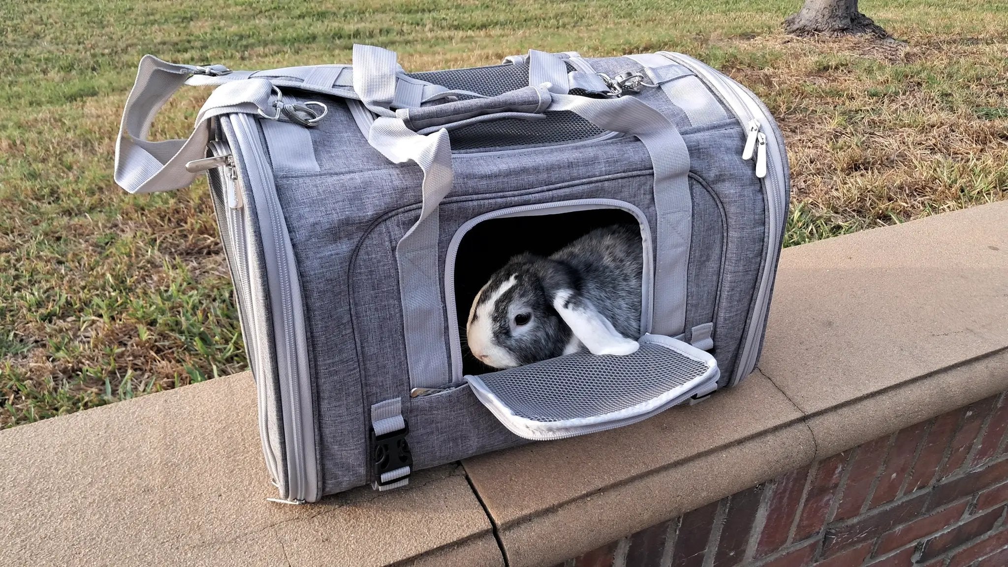 Mr. Peanut's Monterey Series airline-compliant horizontal backpack pet carrier, gray fabric, rabbit inside.