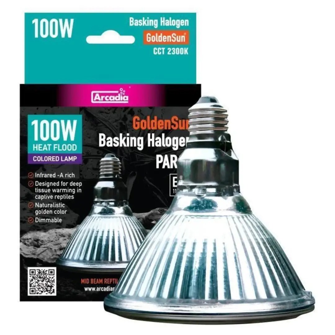 Arcadia GoldenSun Basking Halogen Heater with two 100W bulbs for reptile habitat heating by ReptiChip LLC