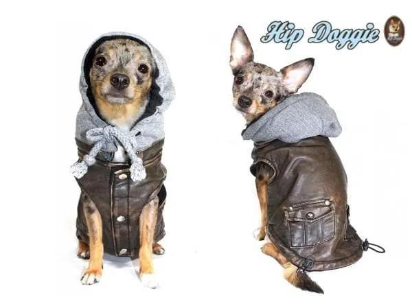 Vintage Bomber Dog Jacket; two dogs wear brown leather-style coats with gray hoodies (Hip Doggie)