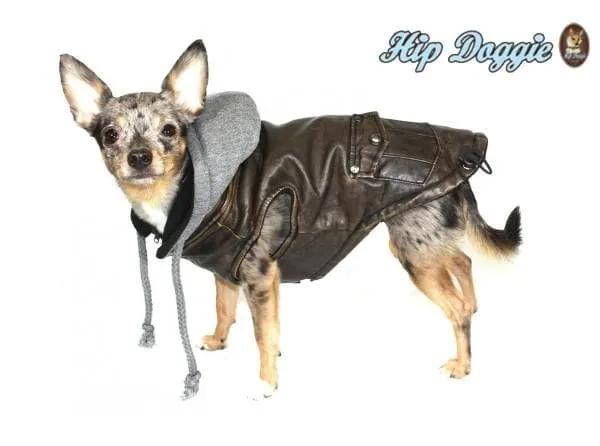 Vintage Bomber Dog Jacket, brown faux leather with gray hood, by Hip Doggie (GreaterGood).